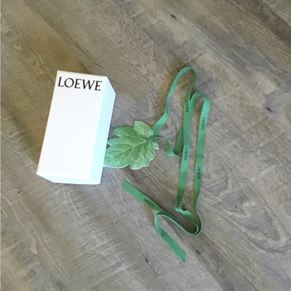 Loewe Green Ribbon Accessory